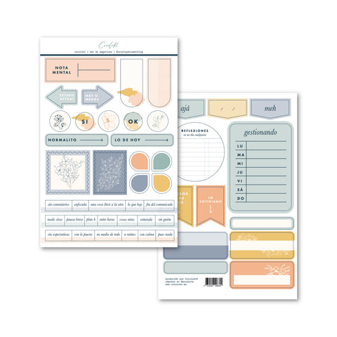 Set de Stickers ESP essentials