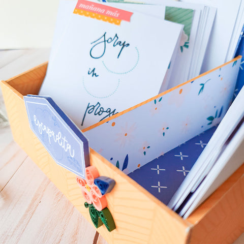 Online Course Cards, Stamps and Joy with JanaScrap