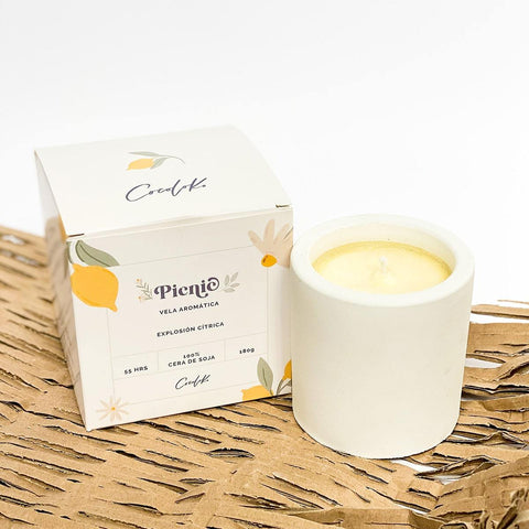 Picnic Scented Candle